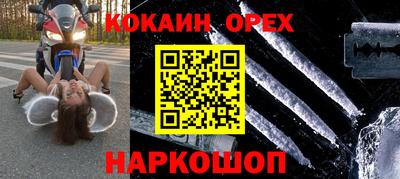шишки Кингисепп
