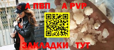 шишки Кингисепп