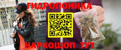 Альфа ПВП Кинель