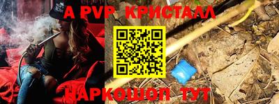 шишки Кингисепп