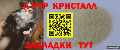 шишки Кингисепп
