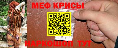 шишки Кингисепп