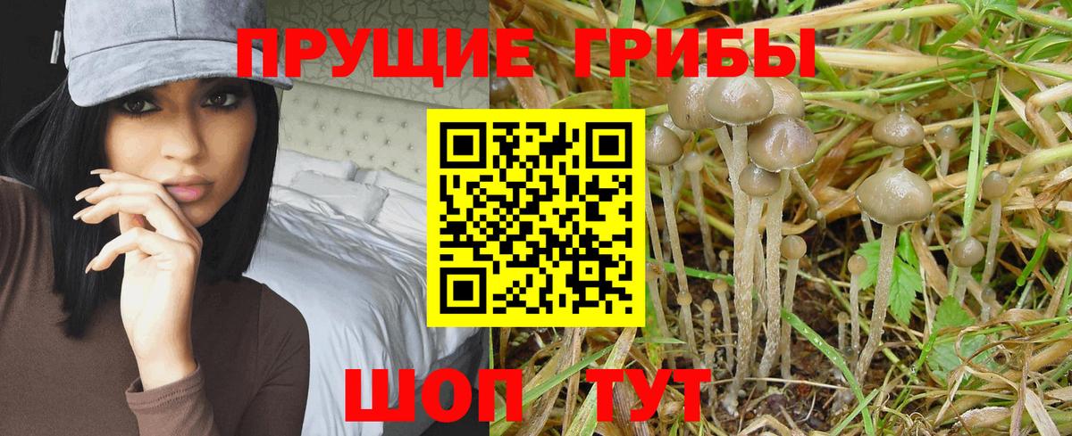 Красноармейск  как найти наркотики  Вход с VPN  Галлюциногенные грибы мицелий  Псилоцибиновые грибы мухоморы 